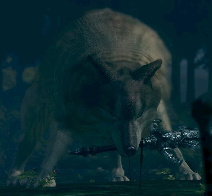 Great Grey Wolf Sif